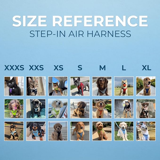 Best Pet Supplies Voyager Step-in Air All Weather Mesh Harness and Reflective Dog 5ft Leash Combo with Neoprene Handle, for Small, Medium and Large Breed Puppies - Baby Blue/Black Trim, X-Small