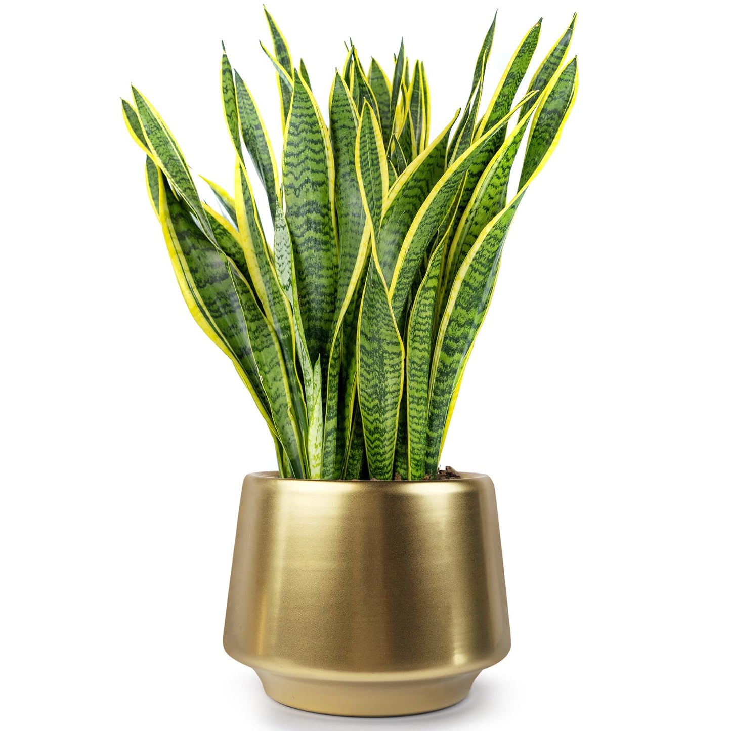 Decor Trends Gold Planter Flower Pots 6 inch Decorative Plant Pots for Indoor Gold Brass Succulent Plant Pots Containers (Dia 6 inch), Small 5.9‘’