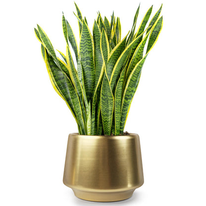 Decor Trends Gold Planter Flower Pots 6 inch Decorative Plant Pots for Indoor Gold Brass Succulent Plant Pots Containers (Dia 6 inch), Small 5.9‘’