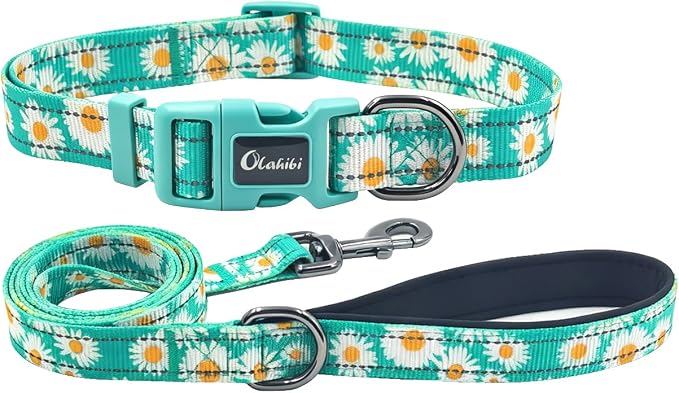 Dog Collar Leash Set, Floral Pattern, with Safety Reflective Strips, 5 ft Matching Leash, Neoprene Padded Handle, Adjustable 4 Sizes for Small Medium Large Dogs.(M, Green Daisy)