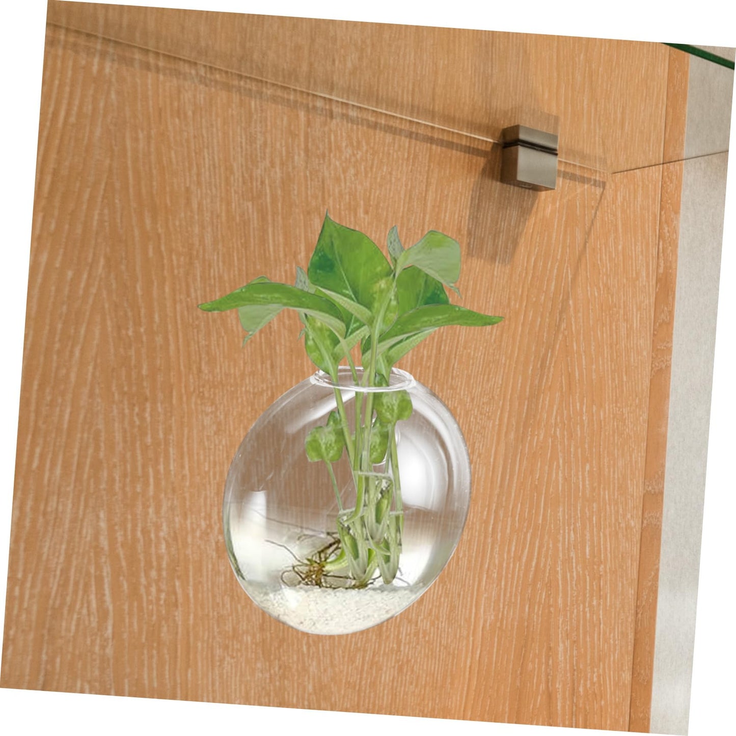 SOLUSTRE Wall Mounted Glass Vase for Hydroponics Plants Hanging Terrarium Planter for Indoor Decor for Propagation Station and Flower Display