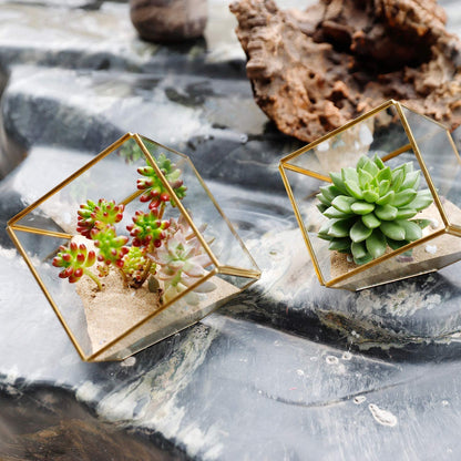 ELEGANTLIFE Glass Geometric Plant Terrarium,Succulent & Air Planter for Home Garden Office Decoration(Gold Cubic Set of 2)