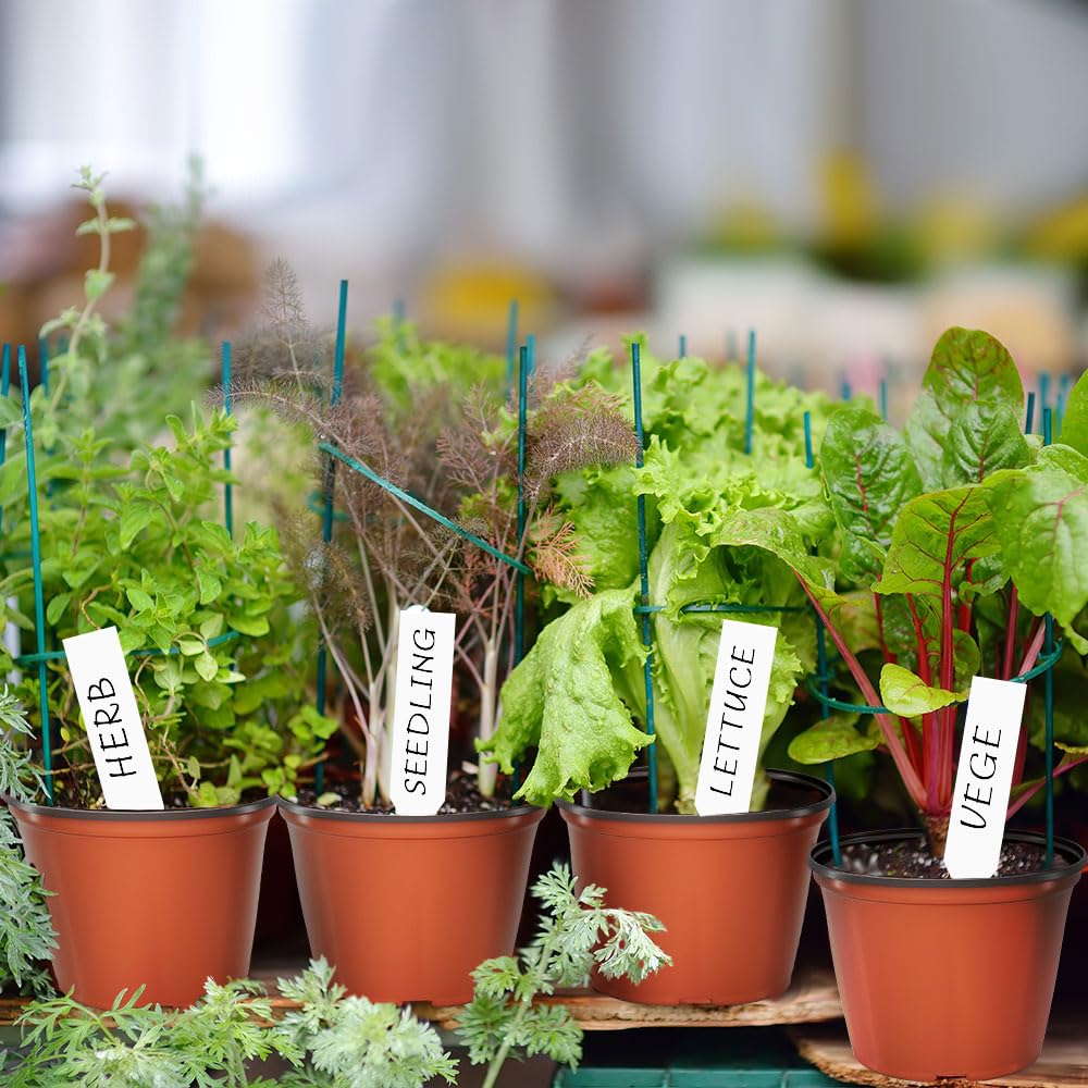 Bluckincle 100 PCS 4 Inch Plant Nursery Pots and 6 Inch Plant Seedling Pots