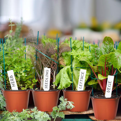 Bluckincle 100 PCS 4 Inch Plant Nursery Pots and 6 Inch Plant Seedling Pots