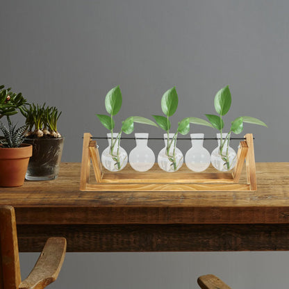 Yardenfun Propagation Station Glass Vases Set of 5 with Wood Stand, Small Hydroponic Plant Terrarium for Indoor Home Décor and Desk Display