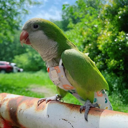 Snap-Closure Parrot Diaper Flight Suit for Cockatiels, Lovebirds & Medium Birds Cotton Washable Escape-Proof Harness with Leash Set(Rainbow Honey Sucking Model)