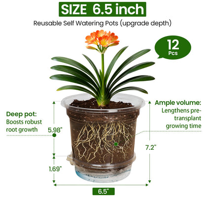 MIXC 12 Packs 6.5 Inch Self Watering Pots for Indoor Plants - Clear Nursery Plant Pots with Drainage, Deep Visible Reservoir - Flower Planter Outdoor with Wicking Rope