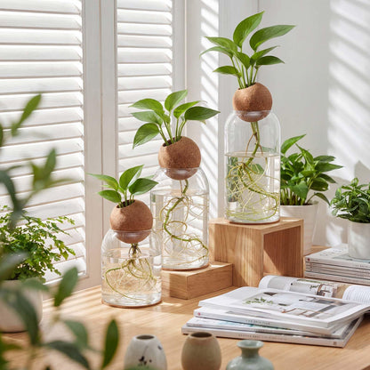Baderke 3 Pcs Glass Plant Propagation Stations for Plants with Spherical Lids and Cork Coasters Hydroponic Spherical Cork Planter Desktop Vases for Plants Cuttings Home Office Tabletop Decor