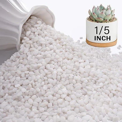 NUPICK 3 lbs Pebbles for Indoor Plants, 1/5 Inch Pea Gravel for Fish Tank, Polished Decorative Rocks for Succulent, Natural River Stones for Vases, Cactus, Landscaping, Bird Bath, Aquarium, White