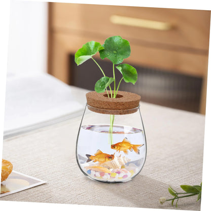 FUNOMOCYA Creative Glass Hydroponic Planter Modern Transparent Vase for Indoor Plants Elegant Desktop Propagation Terrarium Glass Aquarium for Spaces and Home Decor