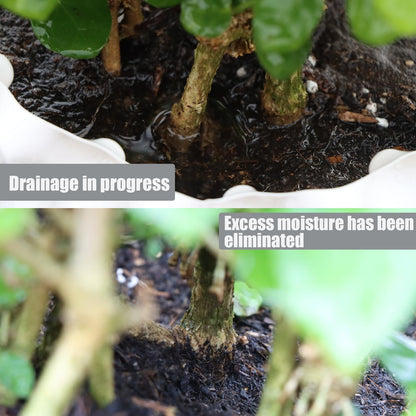 Plant air pruning pot, honeycomb porous structure design, improve root system development, prevent decay, suitable for flowers/vegetables/seedlings, farm planting solutions (Black, 8inches-3G-6P)