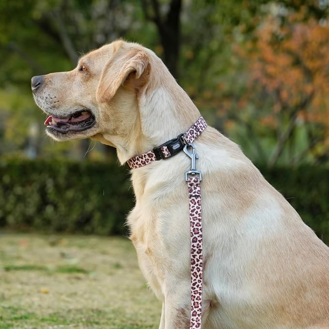 Dog Collar Leash Set, Leopard Pattern, Polyester Material, Adjustable Collar and 5ft Matching Leash, for Small Dogs.(S, Light Coffee Leopard)