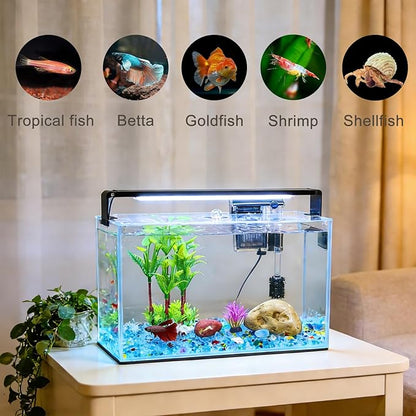 3.2 Gallon Fish Tank, Nano Nature Aquarium Kit,Small Aquarium Starter Kit,Ultra-Clear Rimless Desktop Small Aquarium with Filter and Light for Betta,Shrimp,Goldfish.Clear Glass