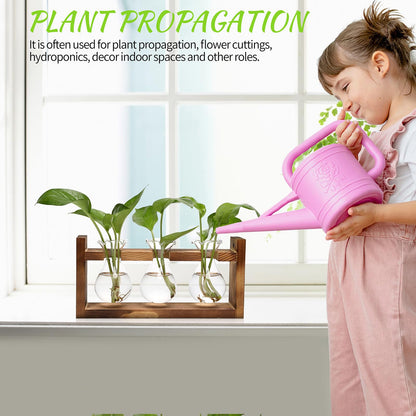Plant Propagation Station Plant Terrarium Unique Birthday Gifts for Women Home Office Decor Planter with Wooden Stand - 3 Bulb Glass Vase