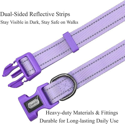 Dog Collar Leash Set,with Relfective Strips,Lilac Purple,Extra Small. | Adjustable Collar,5 ft Matching Leash,Neoprene Padded Handle.