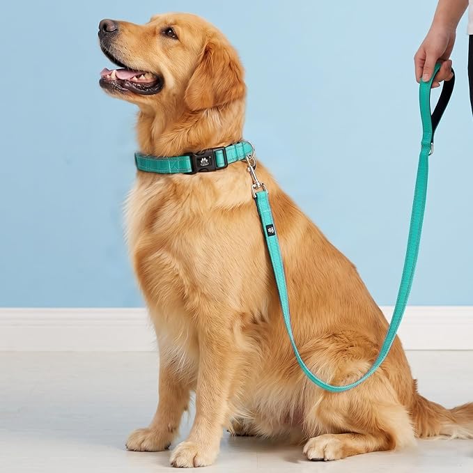 FURRYFECTION Reflective Neoprene Padded Dog Collar and Leash Set with Quick Release Buckle, Adjustable for Small Medium and Large Dogs (Small + 5FT Leash, Teal)