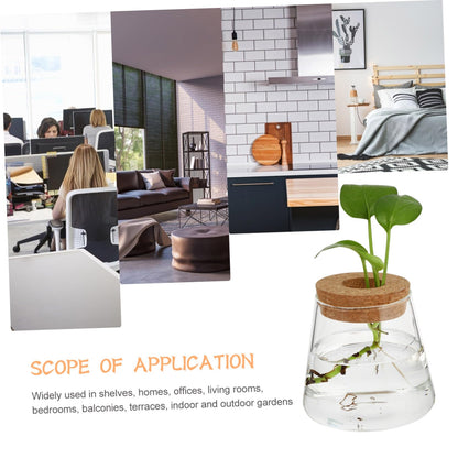 Zerodeko 2Pcs Hydroponic Plant Glass Vases Desktop Terrarium Clear Propagation Containers for Indoor Plants Home Decoration Garden Lovers