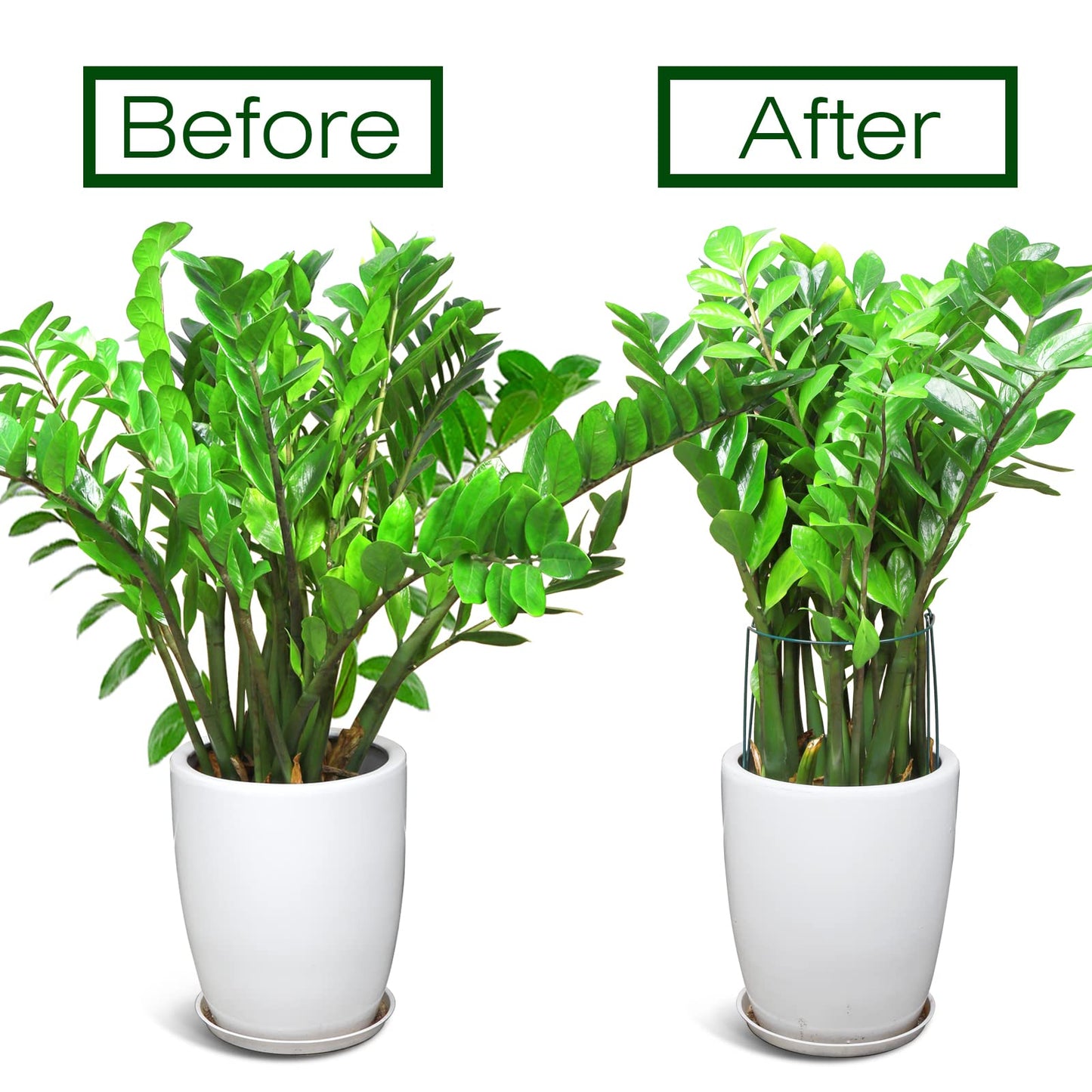 LEOBRO Plant Support Stakes, 4 PCS Plant Stakes, Plant Support, Peony Cages and Supports, Garden Stakes, Plant Stakes for Indoor Outdoor Plants, Hydrangea Support Cage, 10" W x 15.8" H