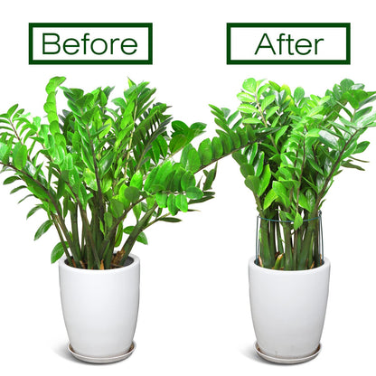 LEOBRO Plant Support Stakes, 4 PCS Plant Stakes, Plant Support, Peony Cages and Supports, Garden Stakes, Plant Stakes for Indoor Outdoor Plants, Hydrangea Support Cage, 10" W x 15.8" H