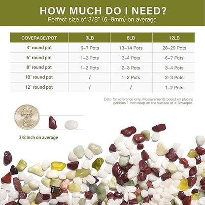 NUPICK 3 lbs Pebbles for Indoor Plants, 3/8 Inch Pea Gravel for Fish Tank, Polished Decorative Rocks for Succulent, Natural River Stones for Vases, Cactus, Landscaping, Bird Bath, Colorful Mixed