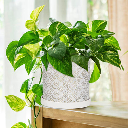 Ceramic Plant Pots with Drainage Hole & Saucer, Gold & White Ceramic Planter Pot for Indoor & Outdoor, 5.5 Inch Small Plant Pots Decorative Flower Pot for Herbs, Cactus, Orchids, Succulents Planters