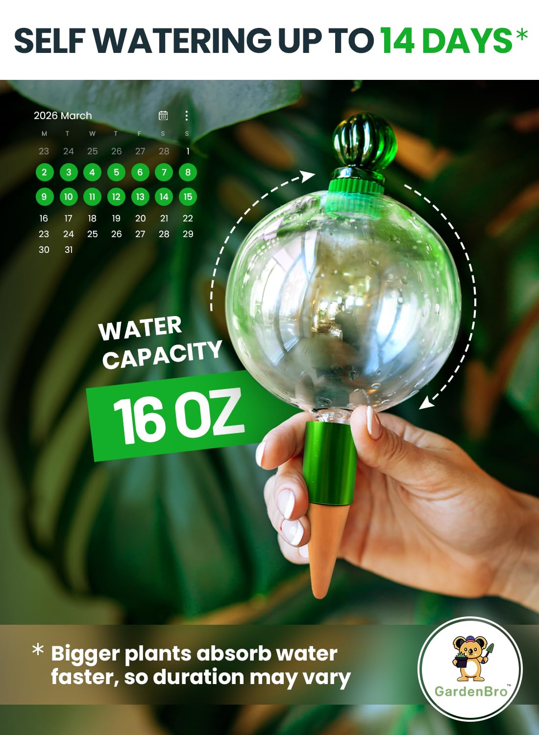 16 Oz Plant Watering Globes for Indoor Plants with Terracotta Self Watering Planter Insert - Hand-Blown XL Glass Globes - Automatic Indoor Planter Waterer, Gift Idea for Gardeners [1, Clear]