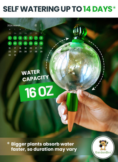 16 Oz Plant Watering Globes for Indoor Plants with Terracotta Self Watering Planter Insert - Hand-Blown XL Glass Globes - Automatic Indoor Planter Waterer, Gift Idea for Gardeners [1, Clear]