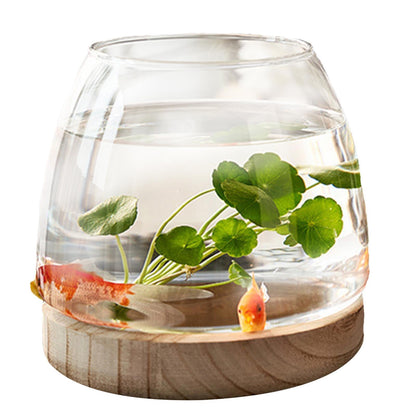Hydroponic Vase - Durablee Hydroponic Plant Vase, Transparent Glass Fish Bowl Vase with Wooden Support | Wide Mouth Terrarium Flower Vase, Glass Hydroponic Planter Clear Fish Bowl for Home Decoration