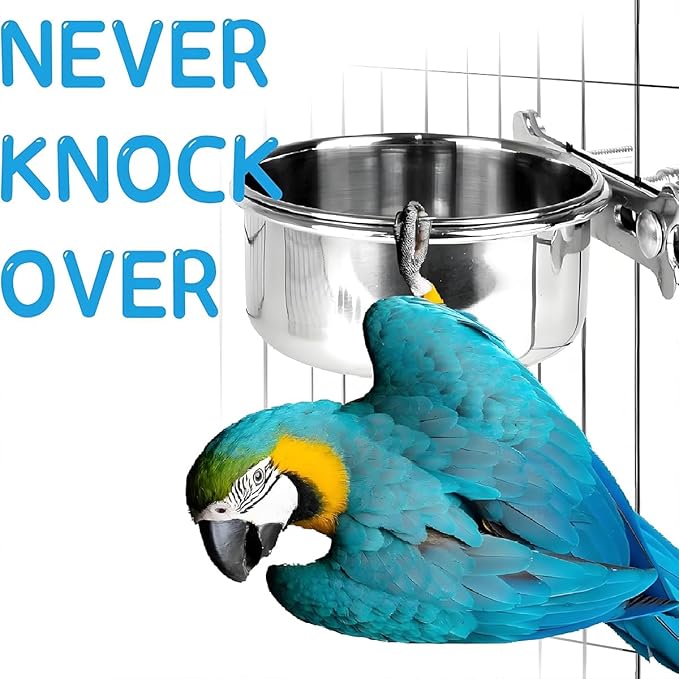 Parrot Feeding Cups Stainless Steel Bird Cage Feeder & Water Bowl - Chew-Proof Food Bowls with Clamp Holder for Parrot, Cockatiel, Conure, Budgie, Macaw, and Small Animals (M - 1Pc)