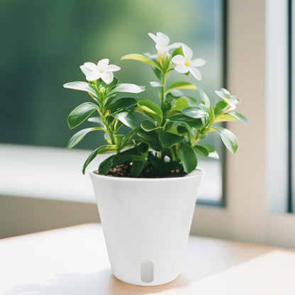 TCBWFY 4 Inch Self Watering Pots for Indoor Plants,8 Sets Self Watering Planter Pots with Visual Water Level Window and Multiple Vents,Self Watering Plant Pot for All House Plants,Flowers,Herbs