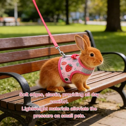 Small Pet Harness and Leash, Escape Proof Rabbit Vest with Soft Edges Dual Safety Buckles for Bunny Guinea Pig Ferret Chinchilla (L)