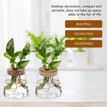 DECORNIJIA 3pcs Glass Hydroponic Plant Propagation Vases with Smooth, Hammered Vertical Textured Volcanic Cork Stoppers for Desktop Terrarium and Indoor Plant Decoration