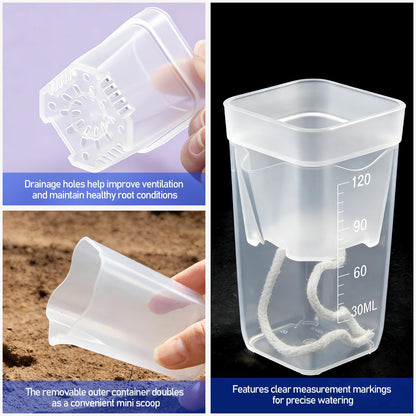 Zarique 8 Pack 2 Inch Self-Watering Plant Pots, Clear Plastic Planter with Water Level Indicator for Propagation, African Violets, Seedlings, Cuttings, with Drainage Hole