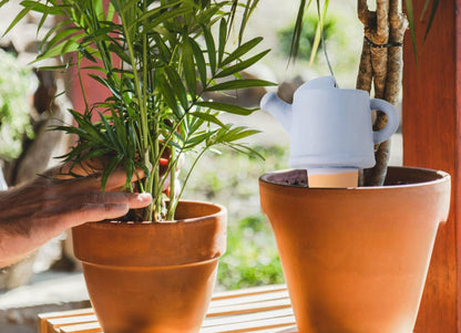 Qinsuikai 4 Pack Plant Watering Devices, Watering Can Shape Terracotta Watering Spikes, Vacation Self Watering Planter Insert, Automatic Plant Waterer for Indoor Outdoor Plants (Watering Cans)