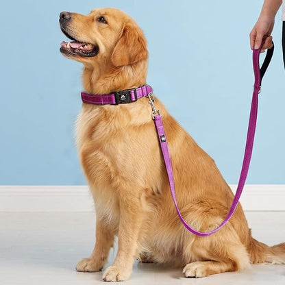 FURRYFECTION Reflective Dog Collar and Leash Set with Quick Release Buckle, Padded with Neoprene, Adjustable Nylon for Small, Medium and Large Dogs (Large Collar + 5FT Leash, Hot Pink)