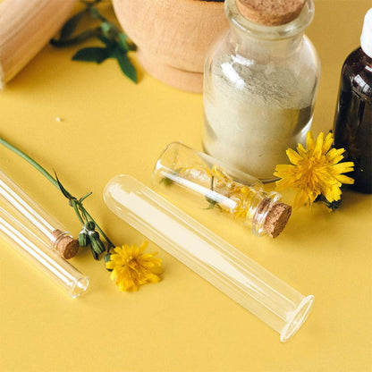 Garneck 6pcs Glass Test Tube Flower Vases Hydroponic Propagation Tubes Glass Plant Containers 2.5x3x15cm for Home and Office Décor