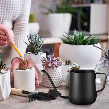 Plant Watering Can, 12 oz / 350 ml Stainless Steel Plant Watering Pot Small Watering Can with Long Spout for Indoor House Plants Flower Bonsai Outdoor Garden