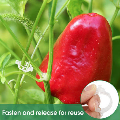 300 Pcs Plant Clips for Climbing Plants, Tomato Clips for Support, Plastic Garden Clips for Plants Grape Vine Vegetables Make Plant Grow Upright