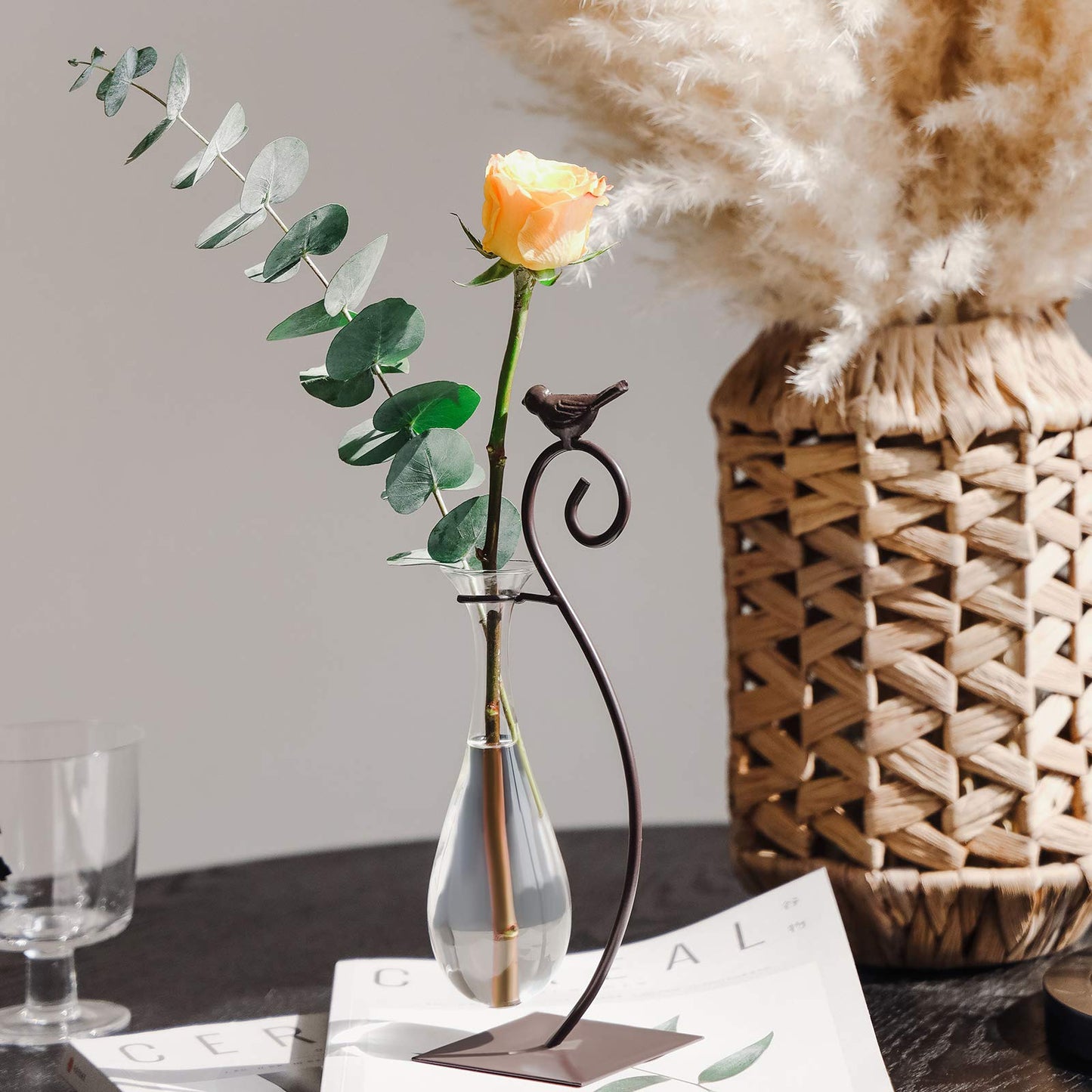 Marbrasse Desktop Glass Planter Hydroponics Vase,Planter Bulb Vase with Holder for Home Decoration,Modern Creative Bird Plant Terrarium Stand, Scindapsus Container (Water Drop Vase)