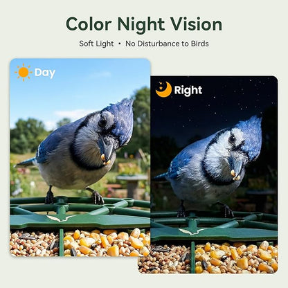 Smart Bird Feeder with Camera, AI Identify Birds Species, 2K HD Color Night Vision, IP65 Waterproof Solar Powered Bird Feeder with 142° Wide Angle, Auto Capture & Real-time Notifications, Ideal Gift