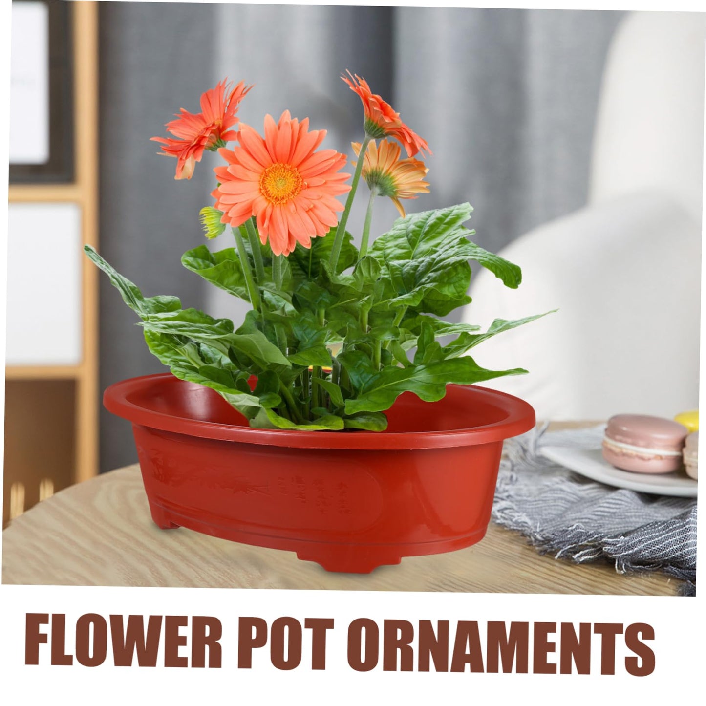 VINTORKY 2pcs Oval Plastic Flower Pots Indoor Outdoor Planters Drainage for Herbs Succulents and Garden Decor