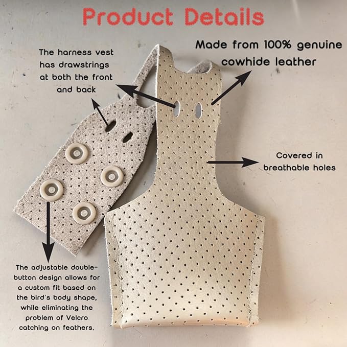 Premium Genuine Cowhide Bird Flight Harness Anti Bite Breathable Parrot Diaper Parrot Suit with Leash for Parakeet Conure Quaker Flying Clothes Rope and Handle (with Leash,X-Small)