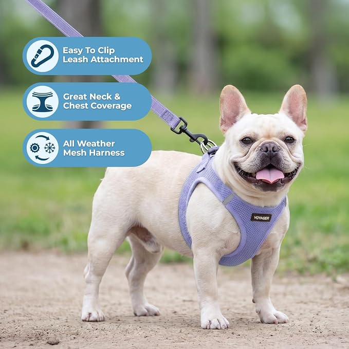 Best Pet Supplies Voyager Step-in Air All Weather Mesh Harness and Reflective Dog 5ft Leash Combo with Neoprene Handle, for Small, Medium and Large Breed Puppies - Lavender, XS
