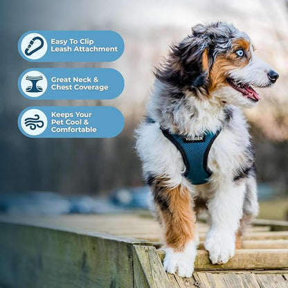 Voyager Step-in Pet Harness - All Weather Mesh, Adjustable Step in Harness for Cats and Dogs by Best Pet Supplies - Turquoise/Black Trim, XS