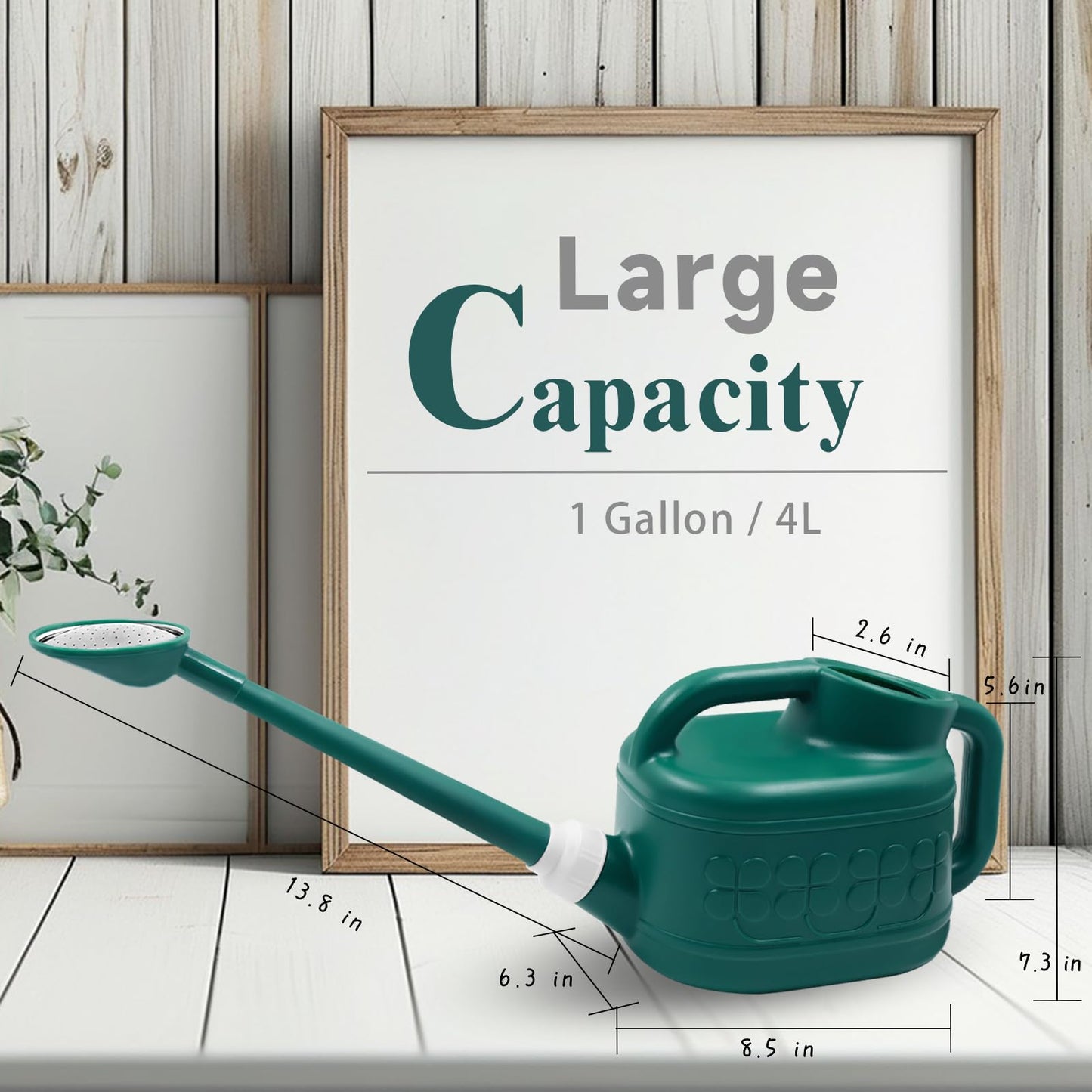 1 Gallon Watering Can, Garden Watering Can Outdoor, Plant Water Can with Removable Long Spout and Stainless Steel Sprinkler Head, Plastic Indoor Watering Cans for Gardening Flower Plants