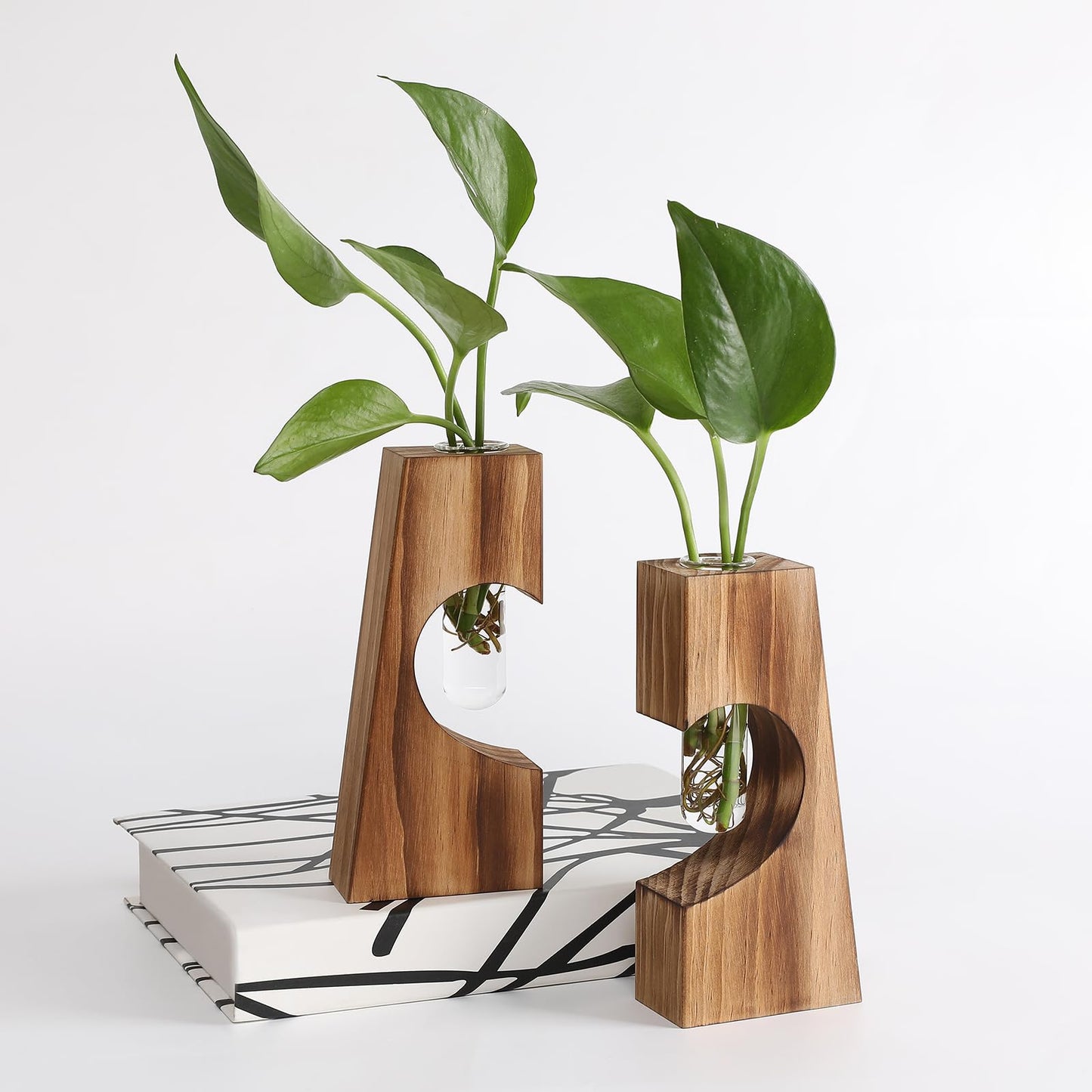 CYZglass Glass Plant Propagation Station for Hydroponics, Heart Shaped Wooden Base with Double Test Tube, Home and Office Desktop Decor Vase