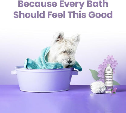 Project Sudz Gentle All Natural Dog Shampoo – Lavender | Soothing Liquid Shampoo for Dogs | Calming, Eco-Friendly, Non-Toxic, Made in USA