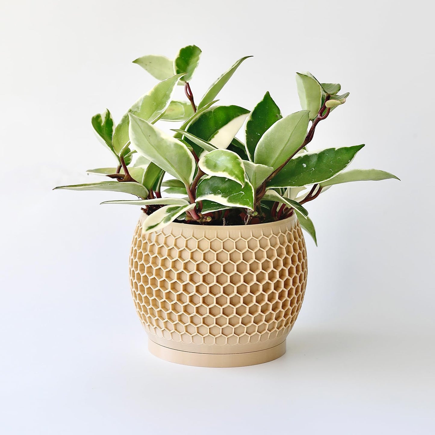 Fabix3D Plant Pots, Modern 3D Printed Honeycomb Planters for Indoor Plants, 4.7 Inch Wood Decorative Flower Pot for Office Desktop, Bookshelf & Home Decor, Lightweight & Durable.
