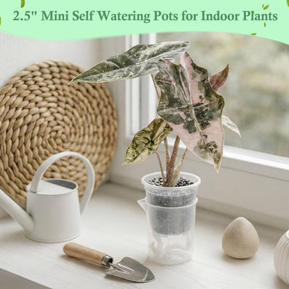 Ferrochef 30 Pcak 2.2'' Small Self Watering Planters for Indoor Plants Mini Clear Pots with Water Level Indicator Plastic Automatic-Watering Pot with Drainage Holes for Semi-hydroponic African Violet
