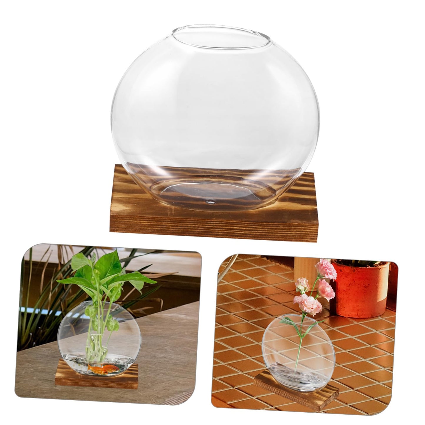 HANABASS 2sets Hydroponic Glass Planter Decorative with Eucalyptus Base for Home Office for Plant Propagation Display Clear Design for Elegant Decor